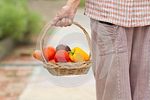 Retired senior woman holding fresh vegetable and fruit in basket that harvest from her gardening.