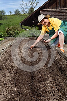 Retired woman planting seeds