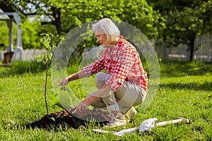 Retired woman watering little tree near cottage house