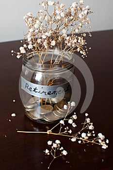 A retirement concept jar with coins and dried plant