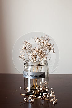 A retirement concept jar with coins and dried plant