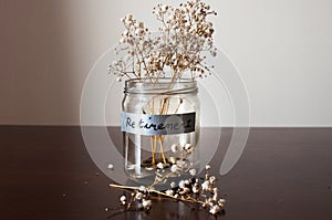 A retirement concept jar with coins and dried plant