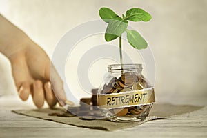 Retirement. Glass jar with coins and a plant, in the background a female hand puts coins near a glass jar.