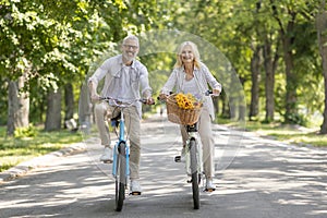 Retirement Lifestyle. Happy Senior Spouses Riding Bicycles Together In Park