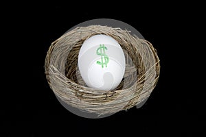 Retirement nest egg dollars