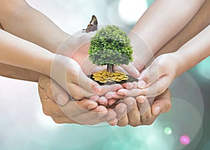Retirement planning, family financial investment and legacy concept with father parent support children`s hands growing tree photo