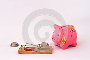 Retirement savings concept with piggy bank and coins