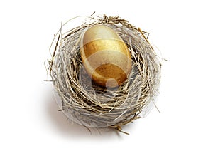 Retirement savings golden nest egg