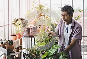 Retirement senior is spraying water on plants and flower pot for hobby at home