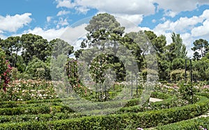 Retiro Park in Madrid