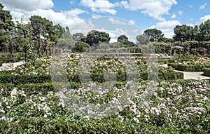 Retiro Park in Madrid