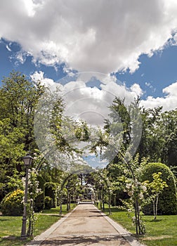 Retiro Park in Madrid