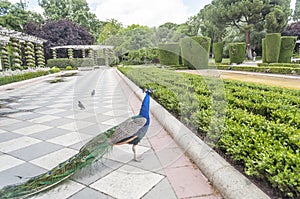 Retiro Park in Madrid