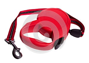 Retractable leash for dog
