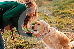 Retriever dog receives a reward for obedience