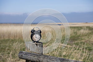 Retro alarm clock in green forest. Abstract photo of time