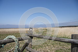 Retro alarm clock in green forest. Abstract photo of time