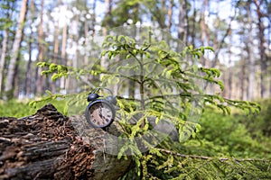 Retro alarm clock in green forest. Abstract photo of time