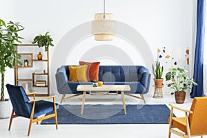 Retro armchairs with wooden frame and colorful pillows on a navy blue sofa in a vibrant living room interior with green plants. Re