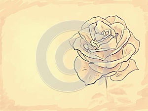 Retro art rose, background