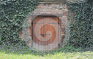 retro basement doors, modern gates, doors, natural wood modern doors.