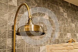 Retro brass shower head with motion of water.