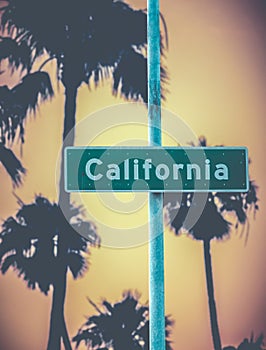 Retro California Sign And Palms