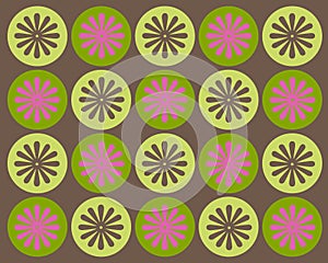 Retro circles and flowers graphic design