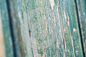 Retro detail of old weathered door with green crackle paint