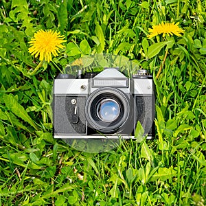 Retro film camera and yellow flowers on a green lawn