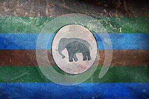 retro flag of Nilo Saharan peoples Acholi people with grunge texture. flag representing ethnic group or culture, regional