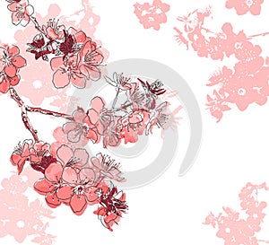 Retro floral background with a flower sakura