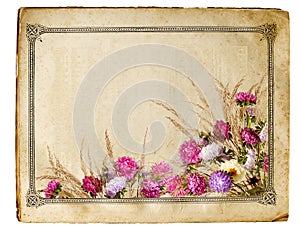 Retro floral frame