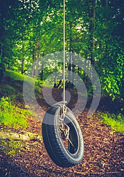 Retro Forest Tyre Swing