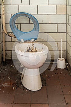 Retro GDR Toilet photo