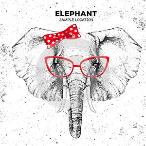 Retro Hipster animal elephant. Hand drawing Muzzle of animal elephant. Girl of 60s