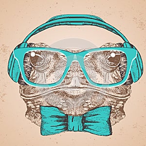 Hipster animal frog. Hand drawing Muzzle of frog