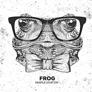 Retro Hipster animal frog. Hand drawing Muzzle of frog