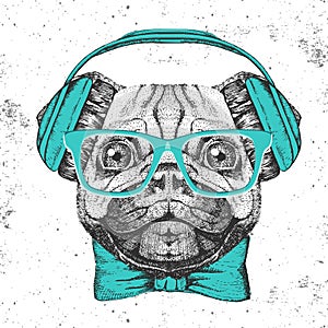 Retro Hipster animal pug-dog. Hand drawing Muzzle of pug-dog