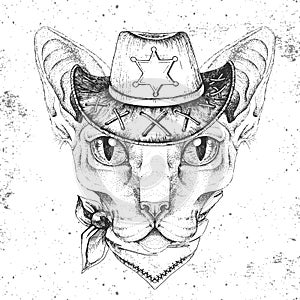 Retro Hipster animal sphynx cat with sheriff`s hat. Hand drawing Muzzle of animal sphynx cat photo