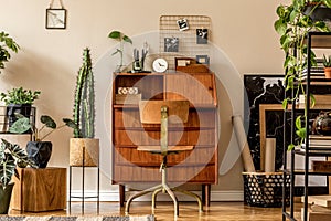 Retro interior design of art workshop room with wooden vintage bureau and chair, shelf plants, cacti, books, photos .