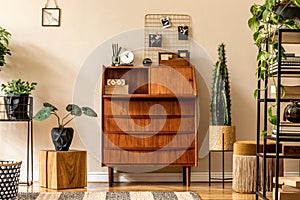 Retro interior design of living room with wooden vintage bureau, shelf, gold pouf, cube, plants, cacti, books and decoration.