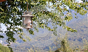 retro lamp lantern made of copper and glass hanging on a chain outdoors