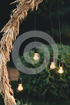 Retro light bulb decor on a wedding arch on a background of a green forest