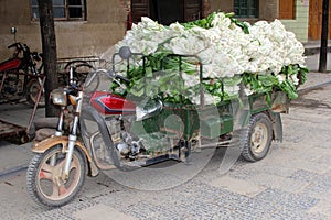 Retro motorbike transportation of Chinese Paksoi, Daxu, China