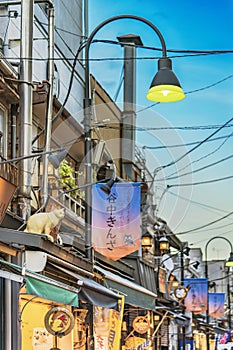 Retro old-fashionned shopping street Yanaka Ginza famous as a spectacular spot for sunset and also named the Evening Village.