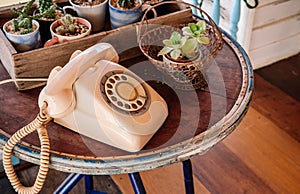 Retro old rose pastel vintage telephone on wood table with cactus pots in old wooden box on wooden table