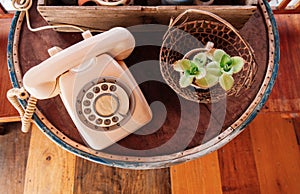 Retro old rose pastel vintage telephone on wood table with cactus pots in old wooden box on wooden table