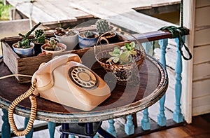 Retro old rose pastel vintage telephone on wood table with cactus pots in old wooden box on wooden table