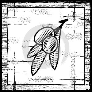 Retro olive branch black and white